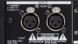 Балансные аудио входы на XLR